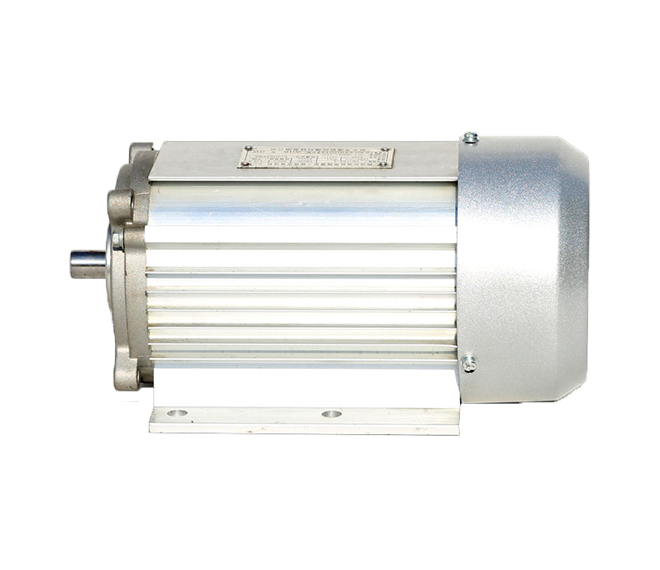 YBJY63 Special motor for experimental instruments