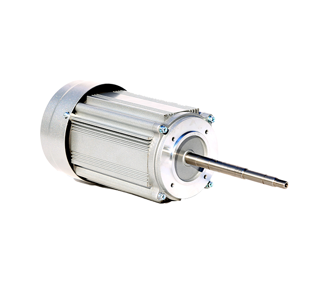 YBJY71 Special motor for experimental instruments