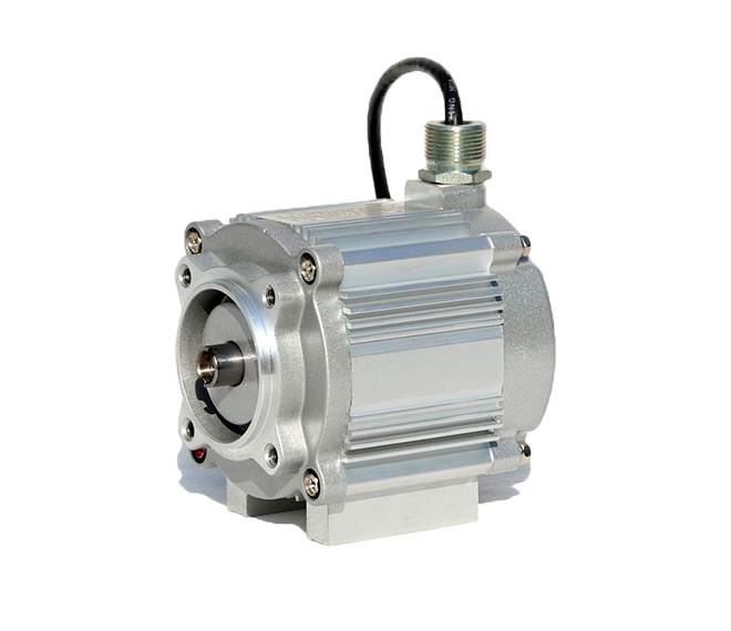 BS01 DC brushless permanent magnet motor for oil and gas recovery